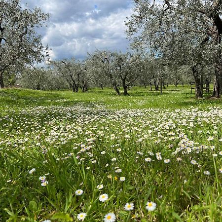 La Casa Di Demetra. Un Paradiso Tra Gli Olivi. Montecchio  Bagian luar foto
