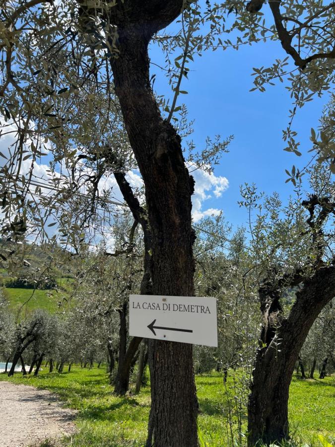 La Casa Di Demetra. Un Paradiso Tra Gli Olivi. Montecchio  Bagian luar foto